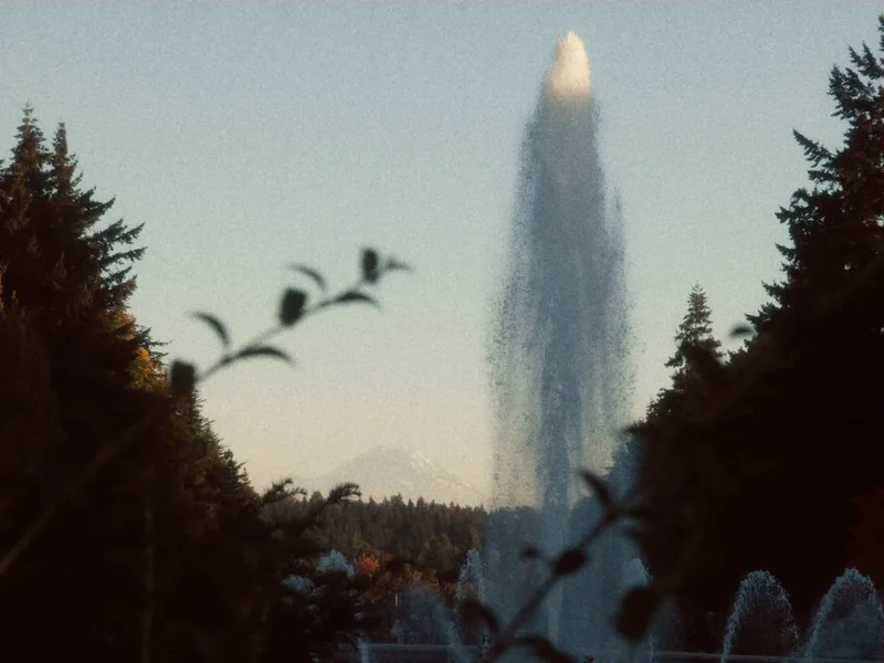 UW Rainier Vista의 상록수와 멀리 보이는 레이니어산 앞에 솟은 Drumheller Fountain 물줄기