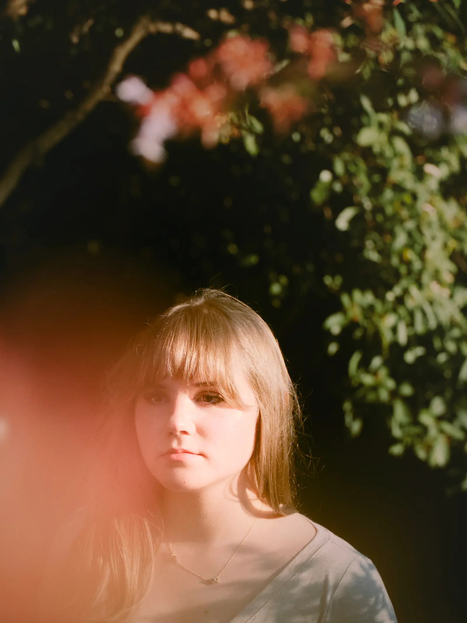 Seattle senior portrait beneath flowering trees in soft natural light
