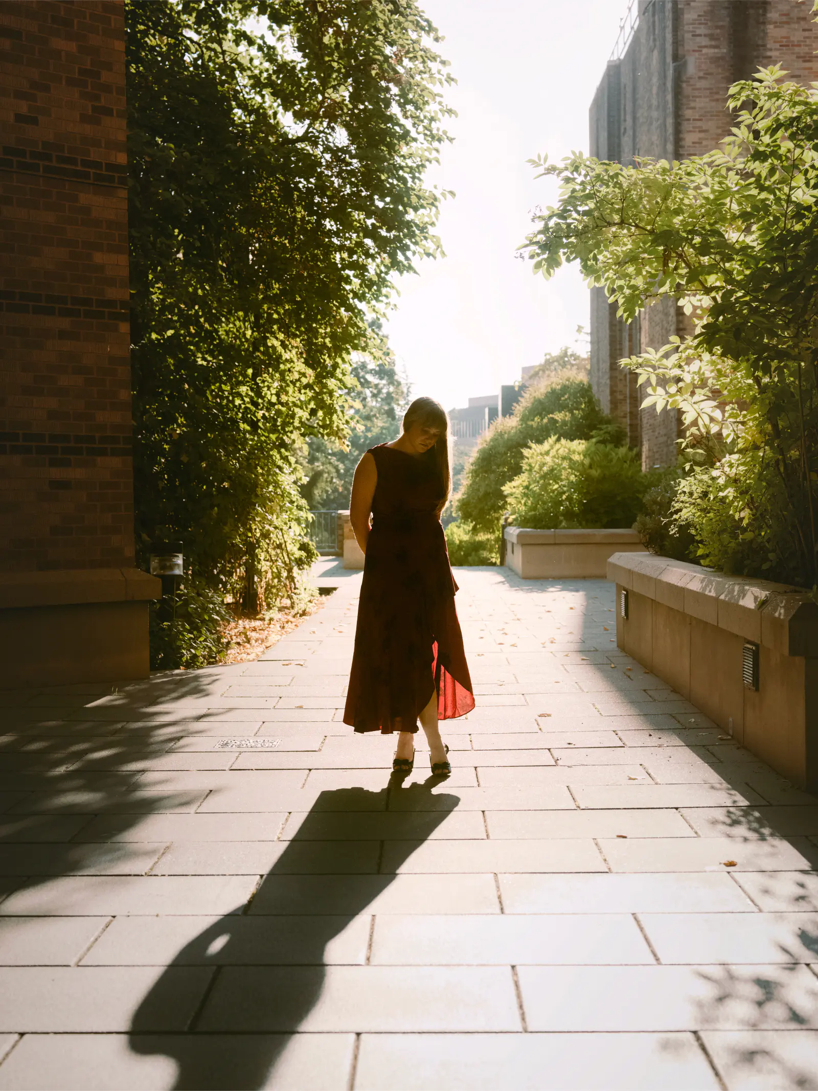 Senior walking along a sunlit campus path between buildings